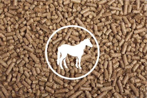 animax_horse animax_horse