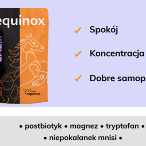 equinox calm 2