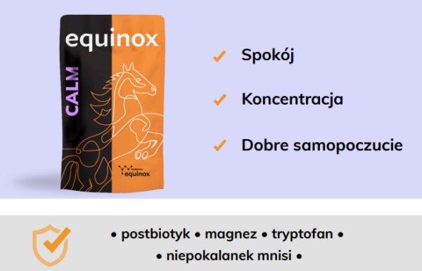 equinox calm 2 equinox calm 2