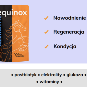 equinox electrolyte 2