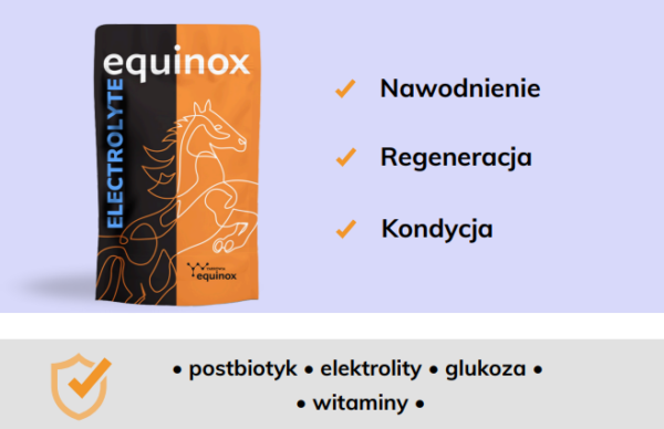 equinox electrolyte 2 equinox electrolyte 2