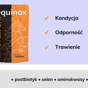 equinox every day 2