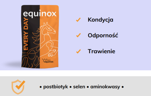 equinox every day 2 equinox every day 2