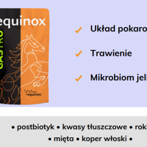 equinox gastro 2