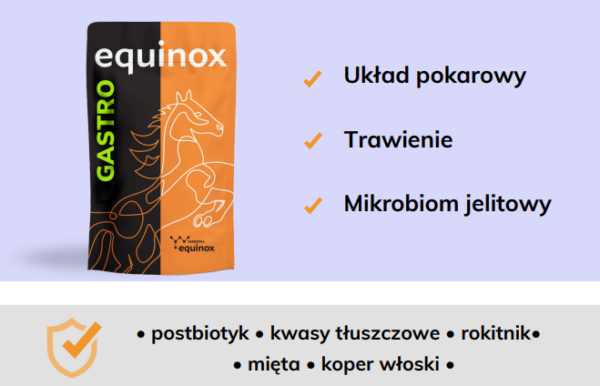 equinox gastro 2 equinox gastro 2