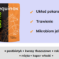 equinox gastro 2