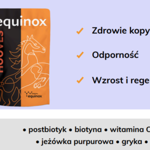 equinox hooves 2