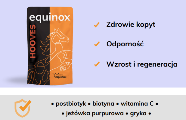 equinox hooves 2 equinox hooves 2