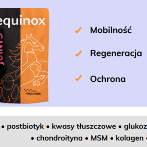 equinox joints 2