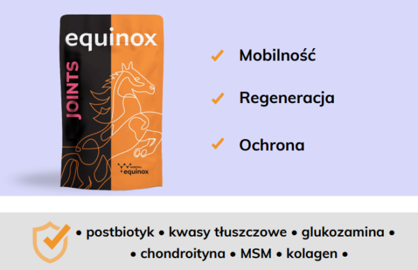 equinox joints 2 equinox joints 2