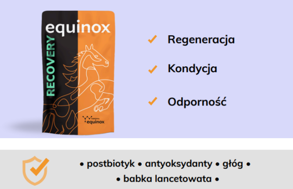 equinox recovery 2 equinox recovery 2