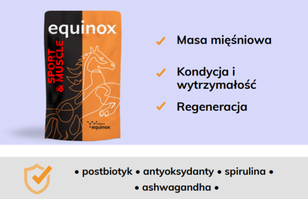 equinox sport i muscle 2 equinox sport i muscle 2